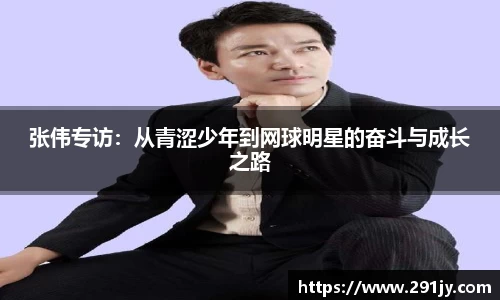 IM电竞官方网站