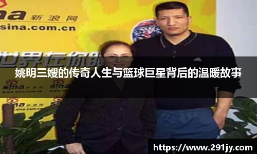 IM电竞官方网站