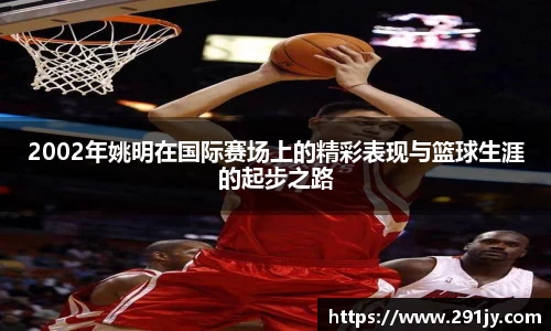 2002年姚明在国际赛场上的精彩表现与篮球生涯的起步之路